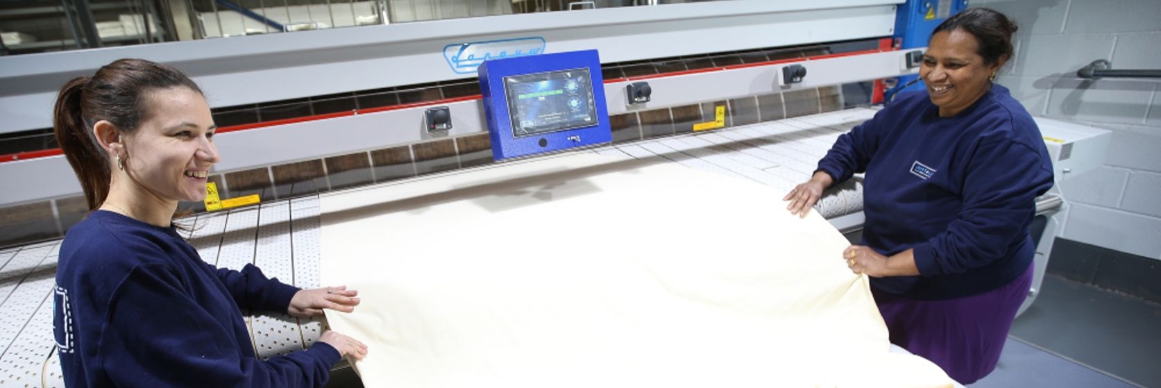 Commercial Steam Ironer