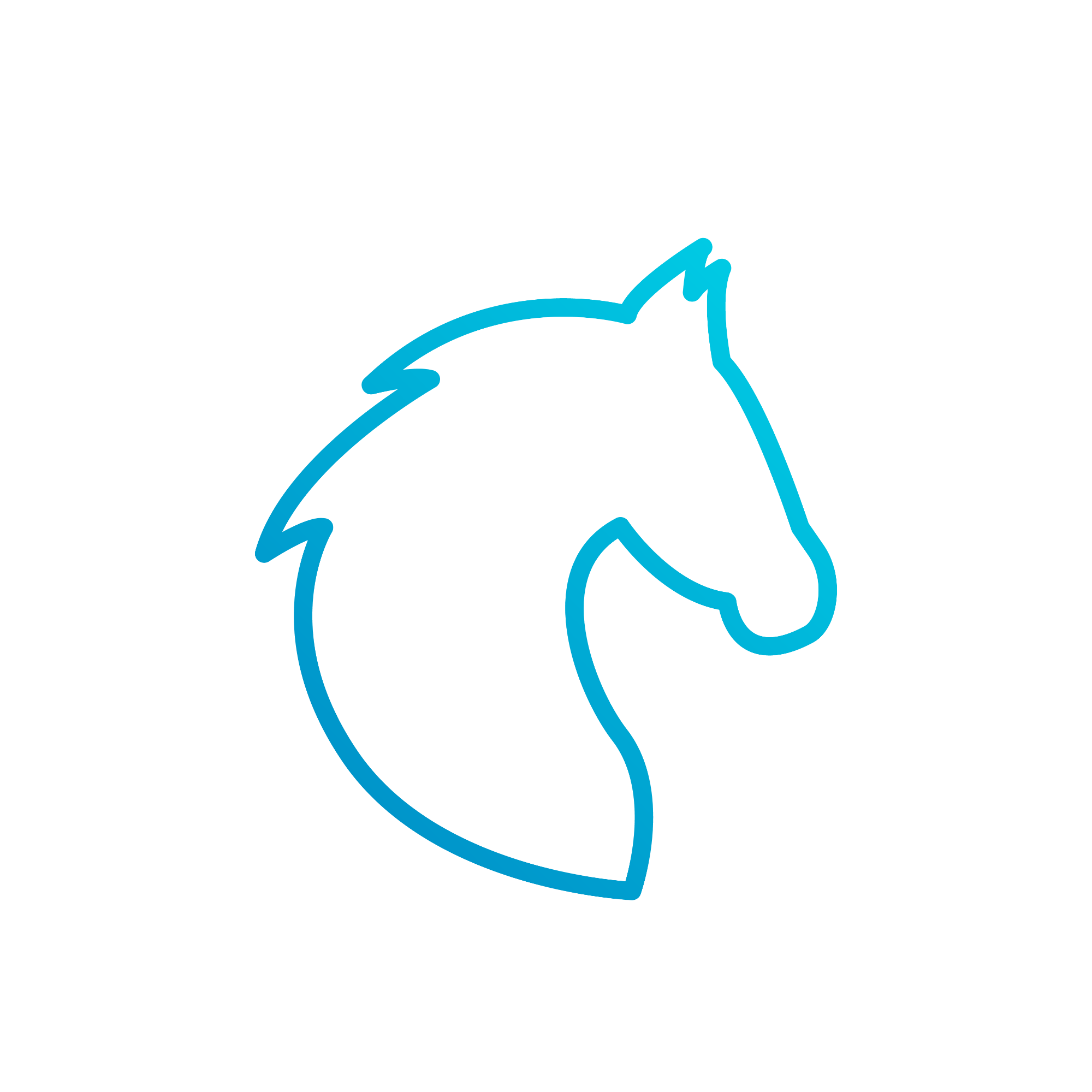 Equine & Veterinary